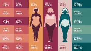 Women's Fat Percentage