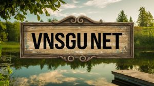 vnsgu net