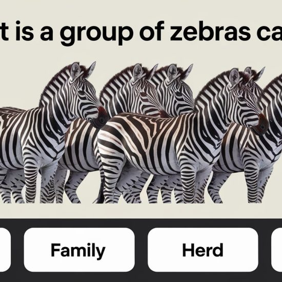 Spirit Animal Quiz