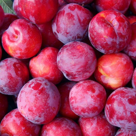 red plums