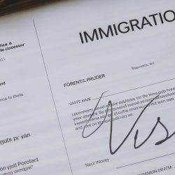 immigration reference letter