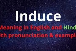induce meaning in hindi